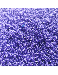 Césped Artificial Morado 8 mm Al Corte